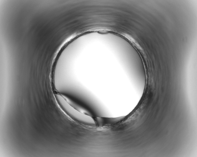 X0000084601189200703161812