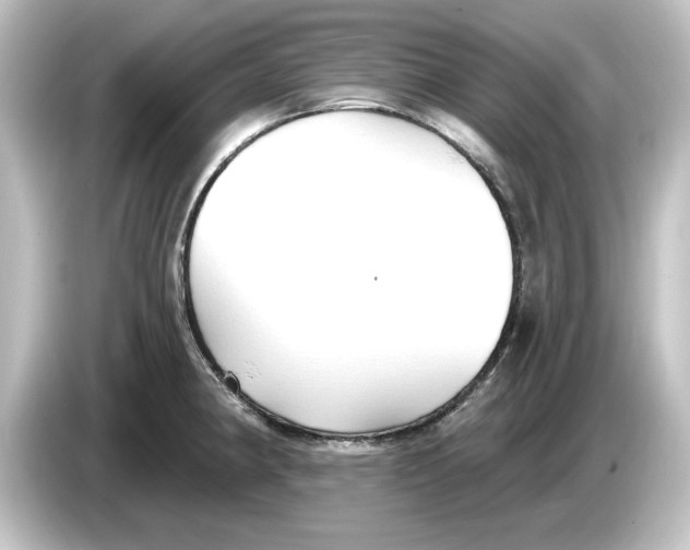 X0000084601190200703161812