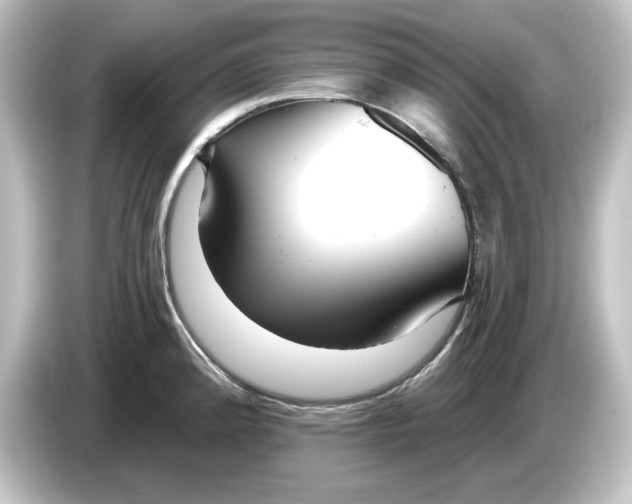 X0000084601192200703161812