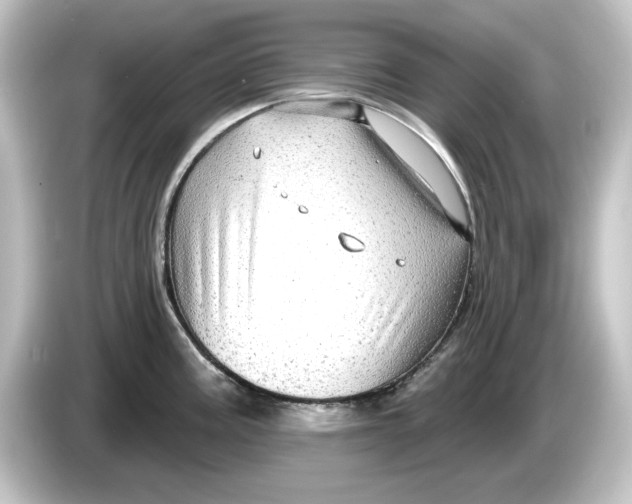 X0000084601195200703161812