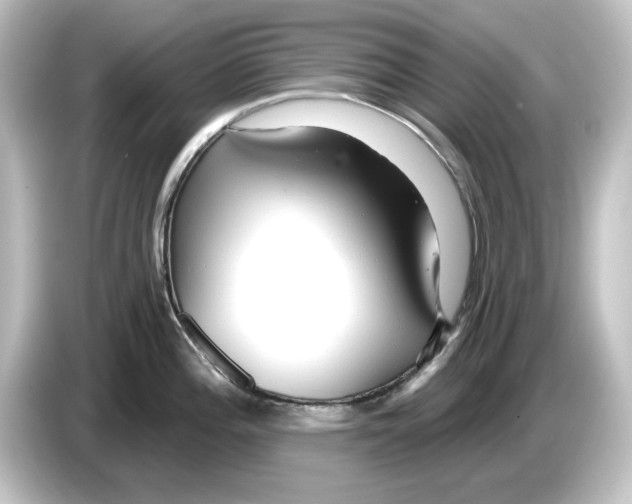 X0000084601196200703161812