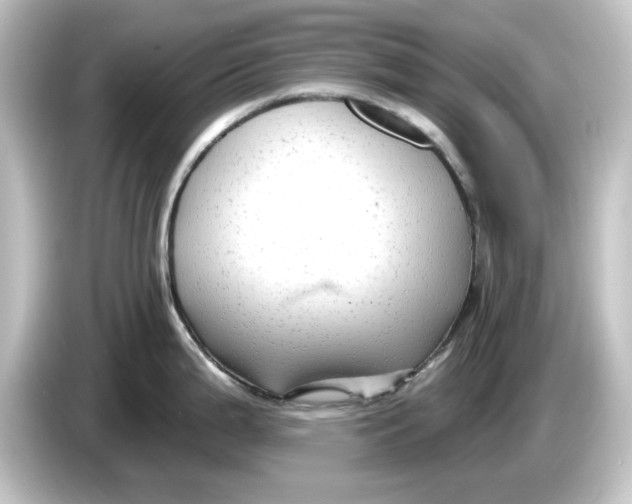 X0000084601199200703161812