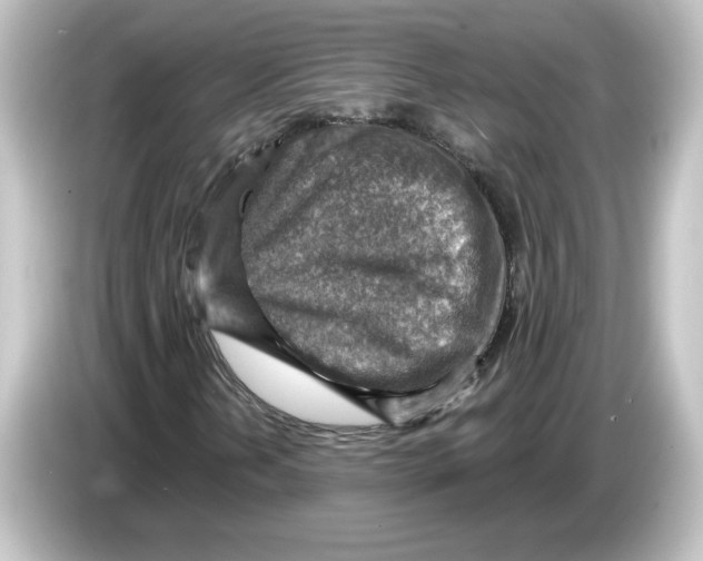 X0000084601202200703161812