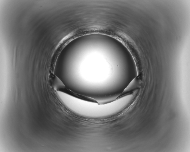 X0000084601210200703161812