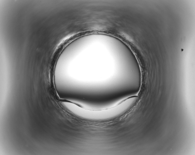 X0000084601214200703161812