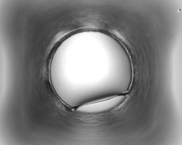 X0000084601215200703161812