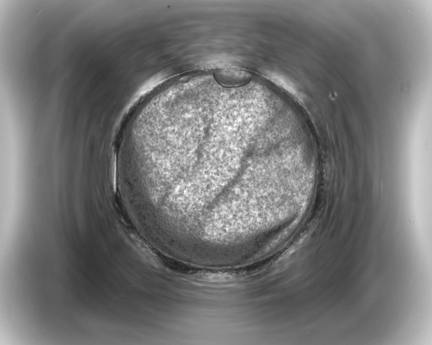 X0000084601219200703161812