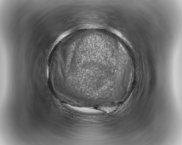 X0000084601221200703161812