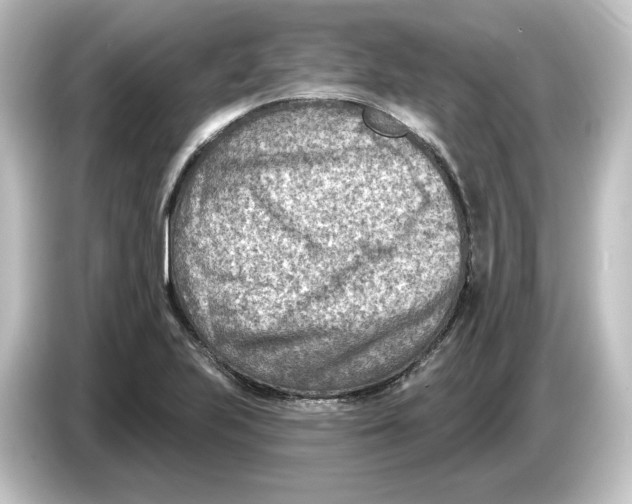 X0000084601223200703161812