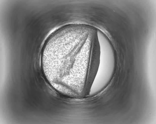 X0000084601224200703161812