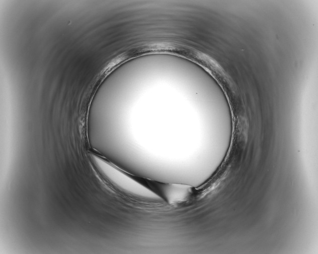 X0000084601225200703161812