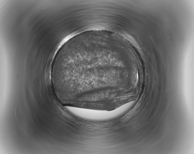 X0000084601226200703161812