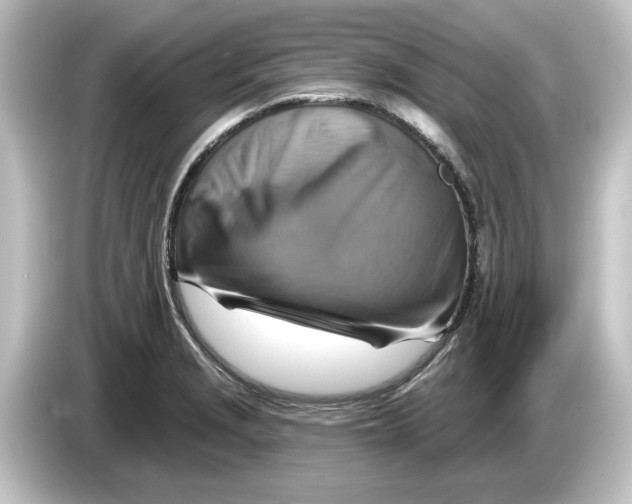 X0000084601229200703161812