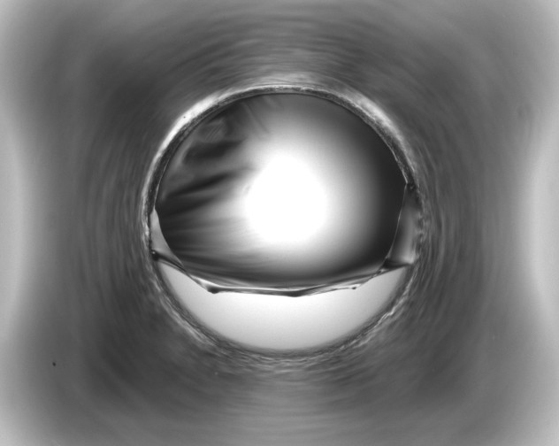 X0000084601230200703161812