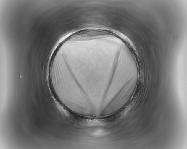 X0000084601231200703161812