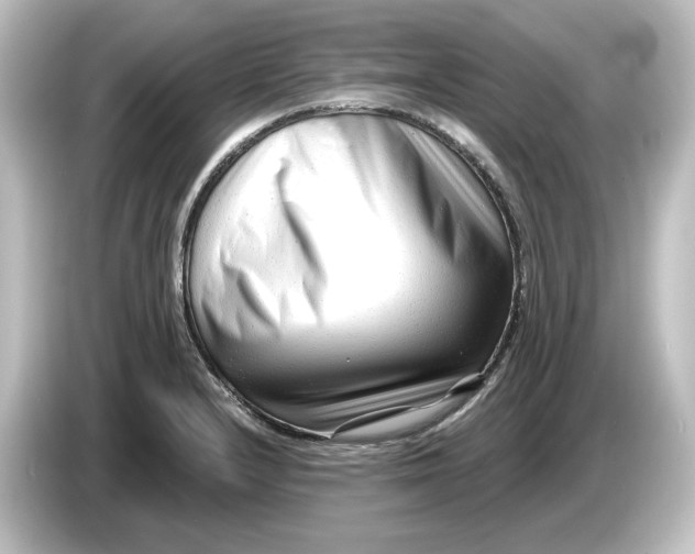 X0000084601232200703161812