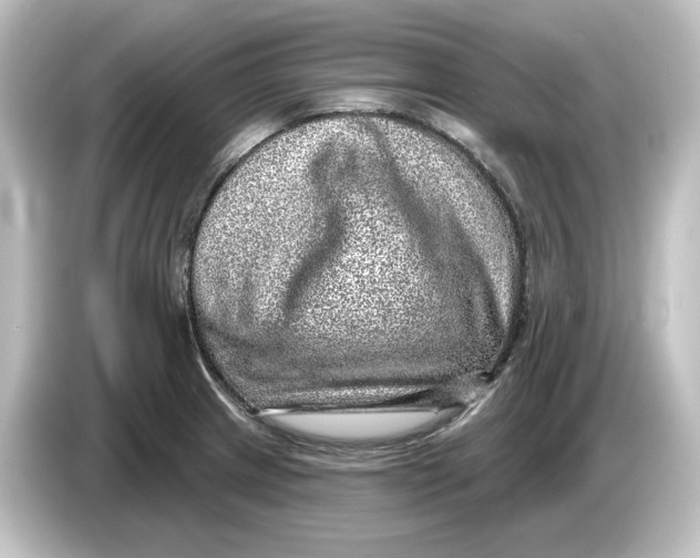 X0000084601233200703161812