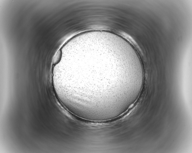 X0000084601236200703161812