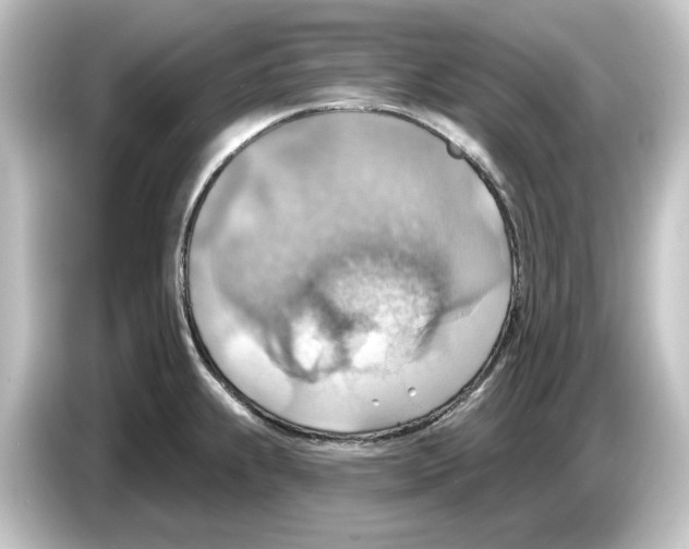 X0000084601239200703161812