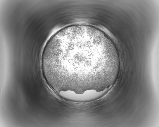 X0000084601240200703161812