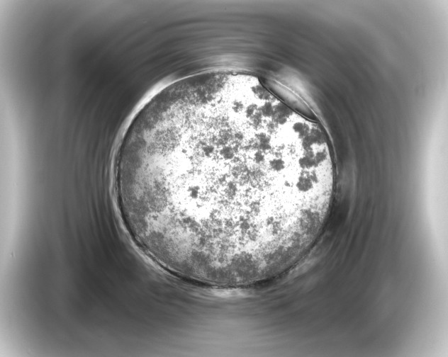 X0000084601243200703161812