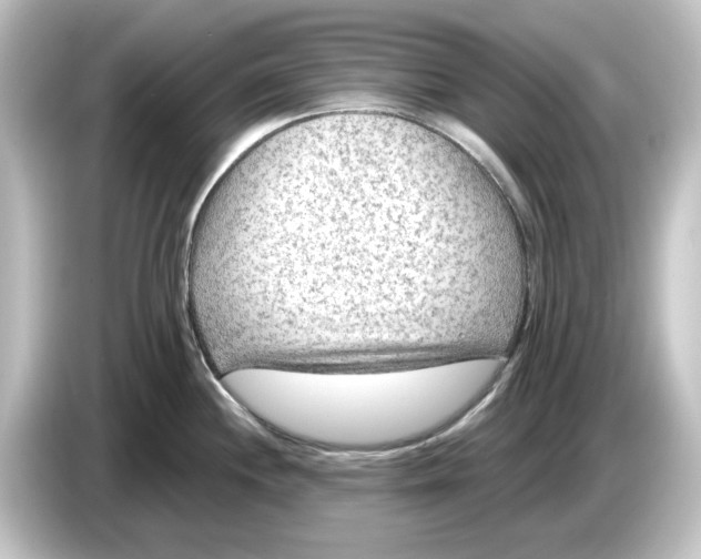 X0000084601244200703161812