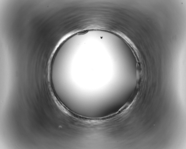 X0000084601246200703161812