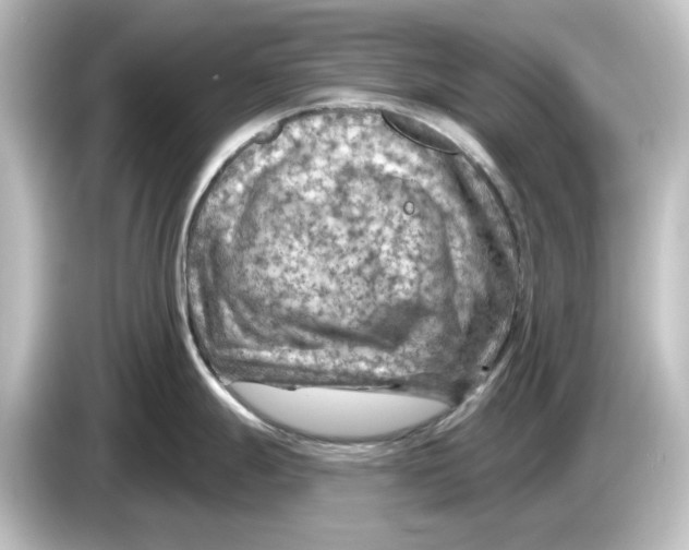 X0000084601247200703161812