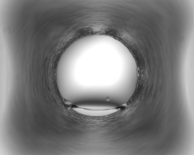 X0000084601249200703161812