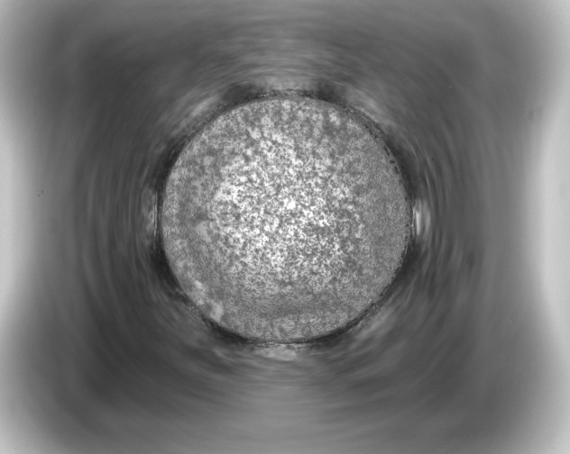 X0000084601251200703161812