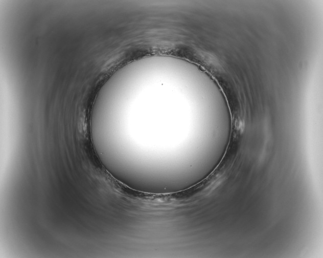 X0000084601252200703161812