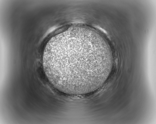 X0000084601255200703161812