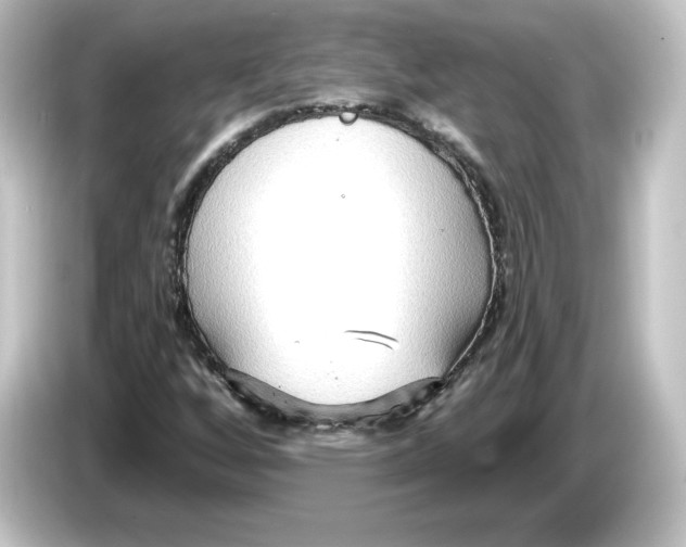 X0000084601256200703161812