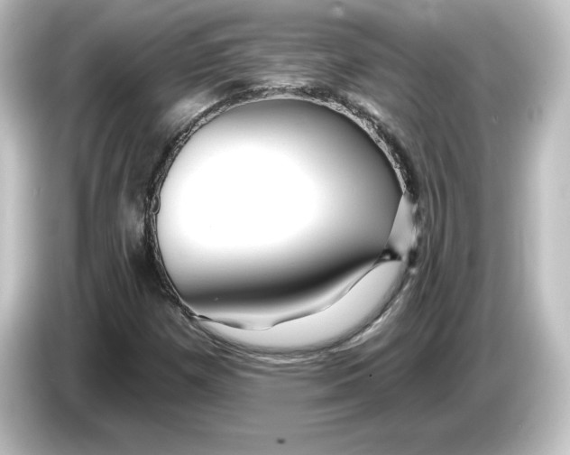 X0000084601257200703161812