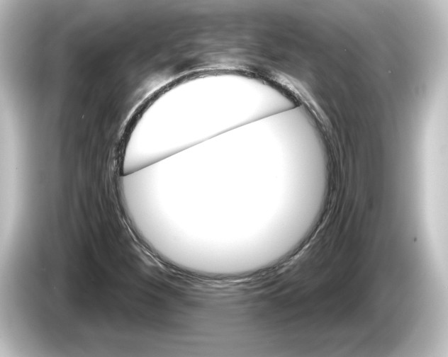 X0000084601260200703161811