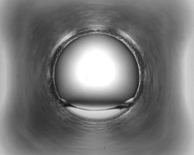 X0000084601261200703161811