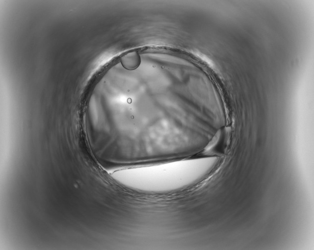 X0000084601263200703161811