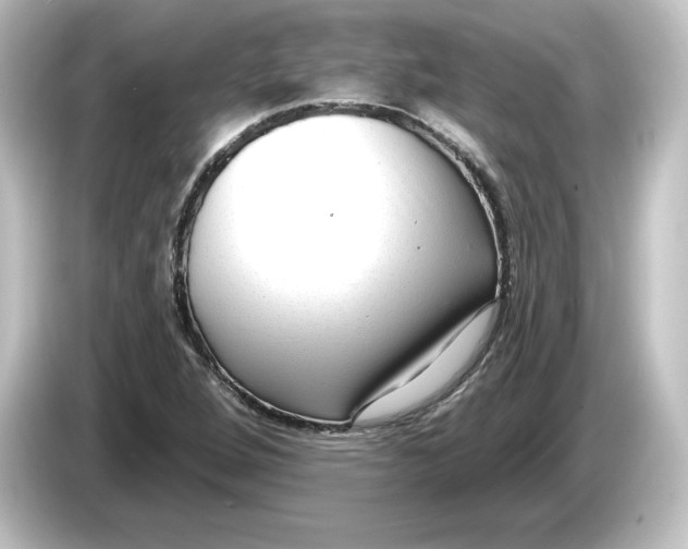 X0000084601264200703161811