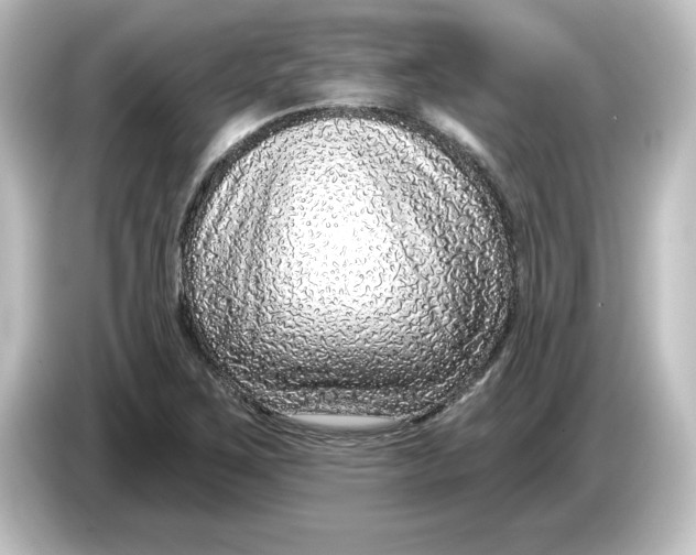 X0000084601267200703161811