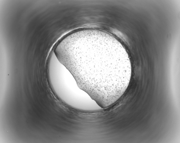 X0000084601268200703161811