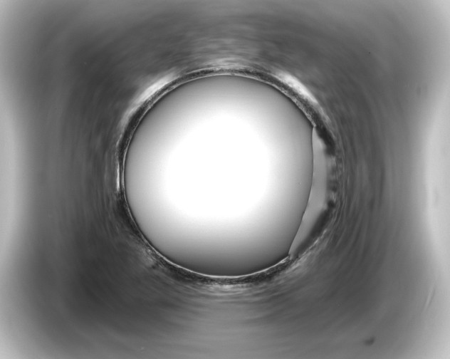 X0000084601269200703161811