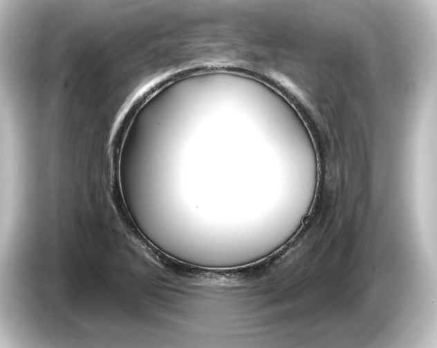 X0000084601270200703161811