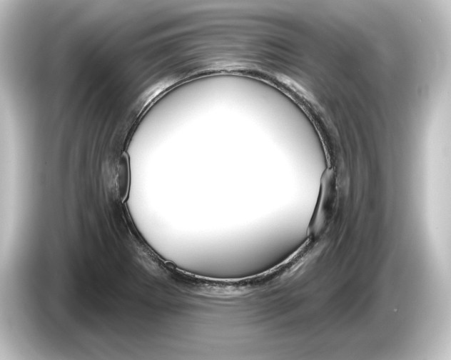 X0000084601273200703161811