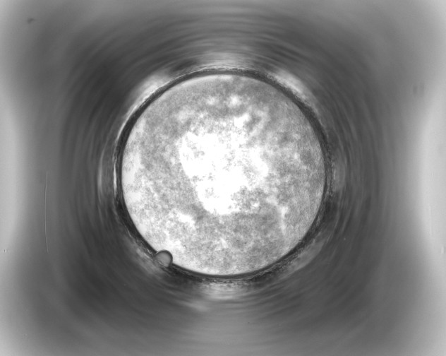 X0000084601274200703161811