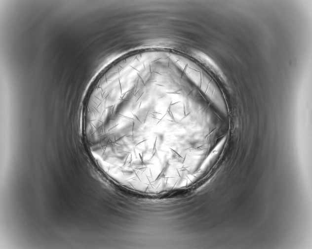 X0000084601276200703161811