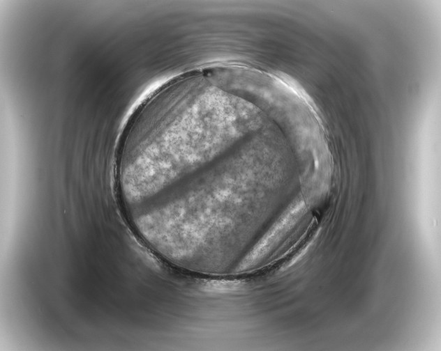 X0000084601277200703161811