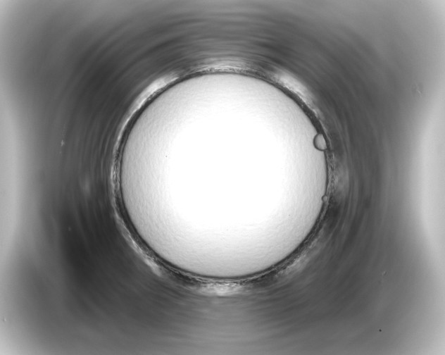 X0000084601282200703161811