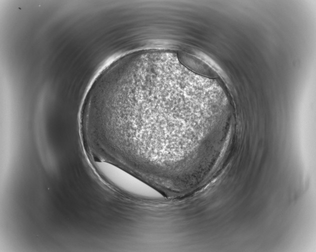 X0000084601283200703161811