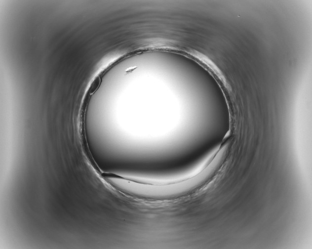 X0000084601285200703161811