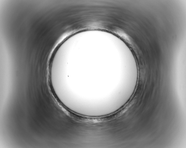 X0000084601286200703161811